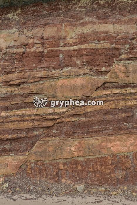 Faille (Hérault) - gryphea.com